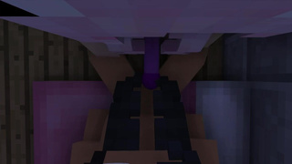 Девки из Minecraft 3D хотят получать оргазмическое удовольствие всю ночь