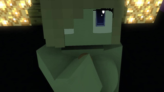 POV Minecraft, где блокировки члена не существует